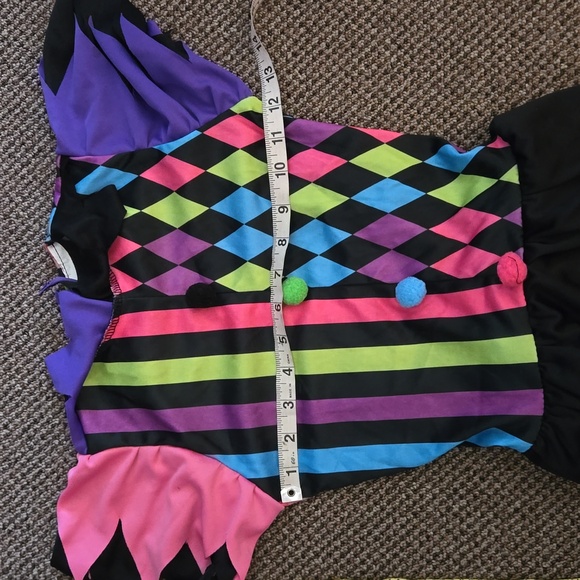 Harley Quinn Costume - Picture 9 of 10